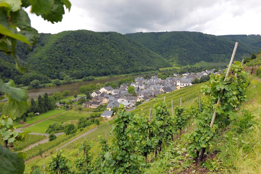 Wein- Und Gaestehaus M. Bai Mesenich Exteriér fotografie